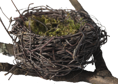 bird's nest nest easter nest