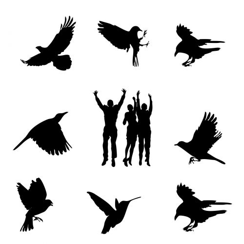 Birds Of Freedom