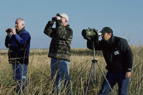 birdwatching stand group