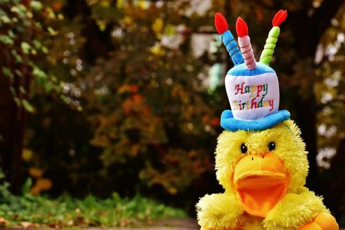birthday congratulations duck