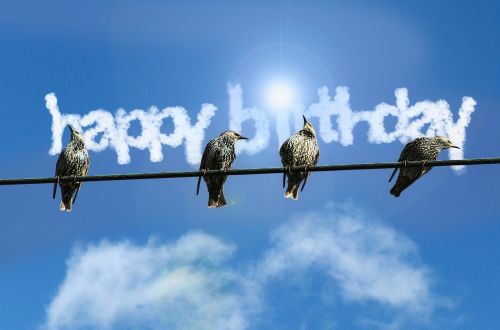 birthday map birds