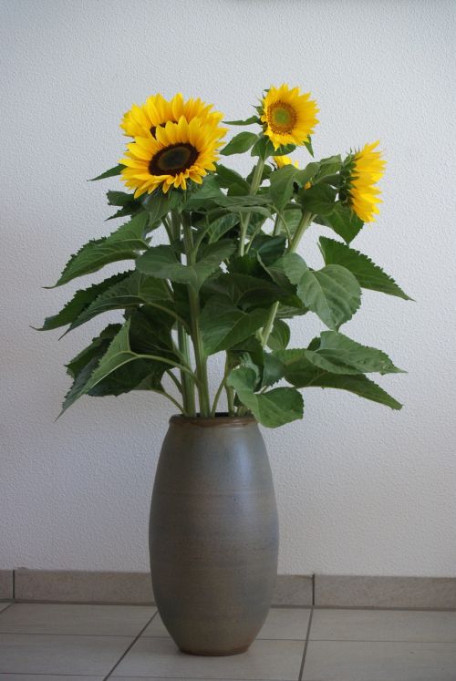 birthday bouquet sunflower yellow flower