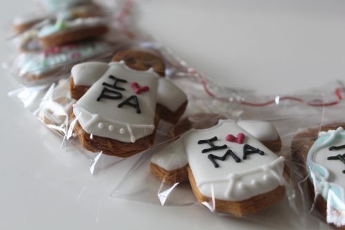 biscuit received salivary handmade cookies