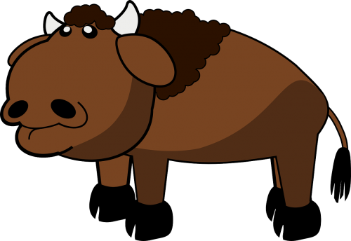 bison animal buffalo