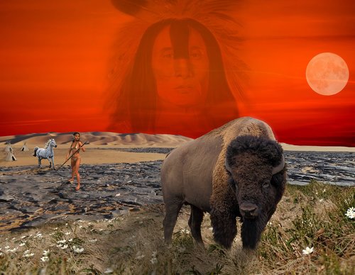 bison  warrior  mountain