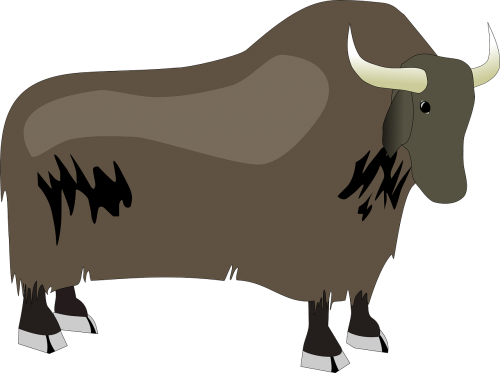 bison ox yak