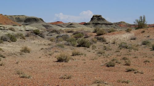 bisti badlands new