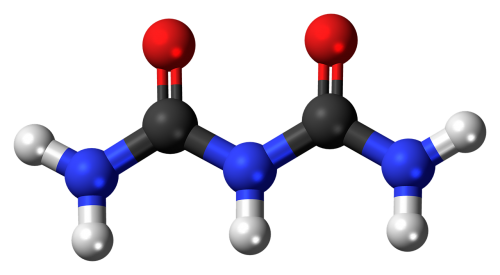 biuret molecule model