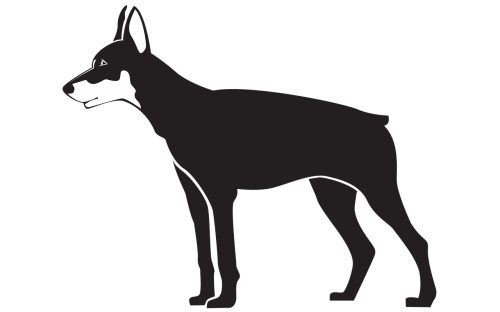 black dog illustration