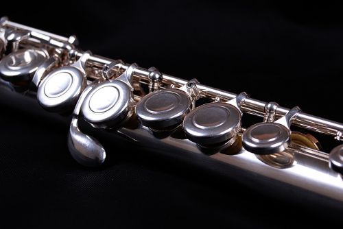 black shiny flute