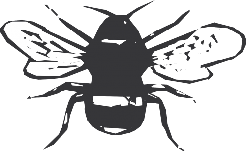 black white bee