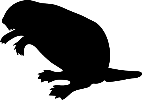 black silhouette beaver