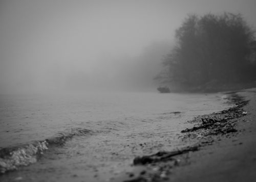 beach water fog