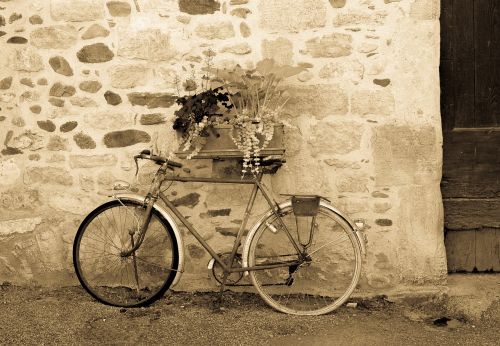 black and white bicycle unusual