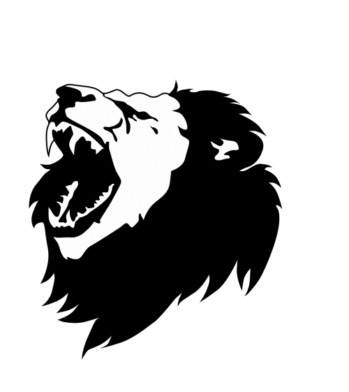black and white lion lion head