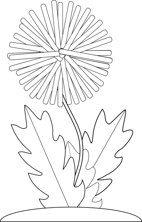 black and white crayon dandelion flower