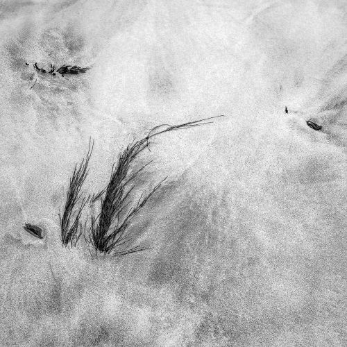 black and white sand abstract