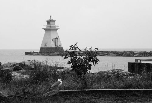 black and white lighthouse lake