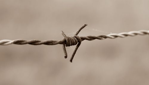 barbed wire fence barbed wire fence