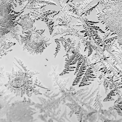 black and white cold frost