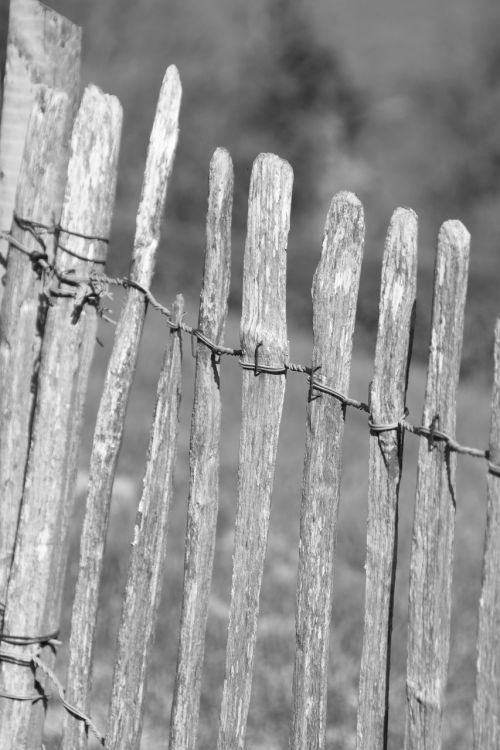 black and white fence wooden