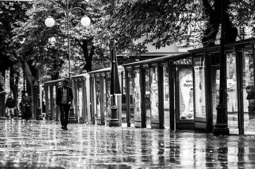 black and white street avenue