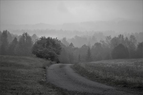 black and white germany bavaria