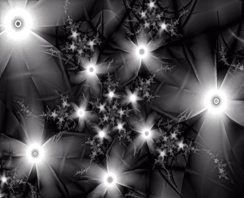 black and white floral fractal