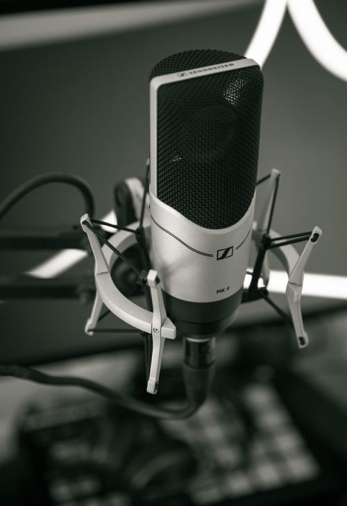 black and white microphone filter