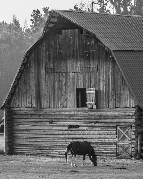 black and white landscape outdoor