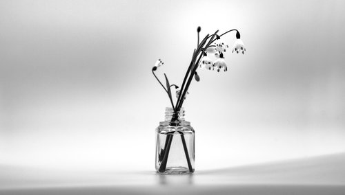 black and white  monochrome  vase