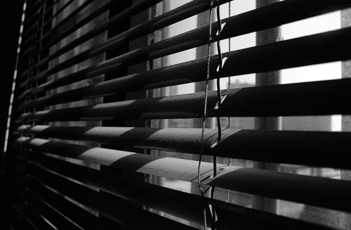 black and white  black  window shades