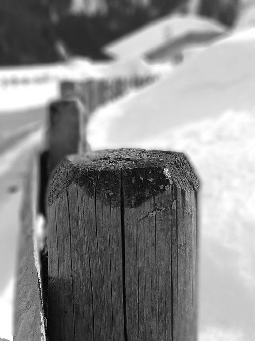 black and white  picket fence  snow