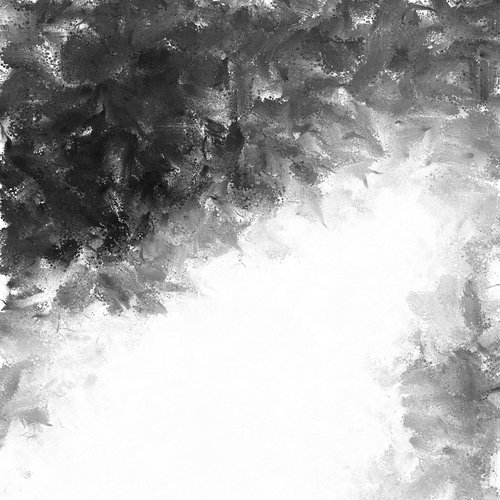 black and white  mono color  brush strokes