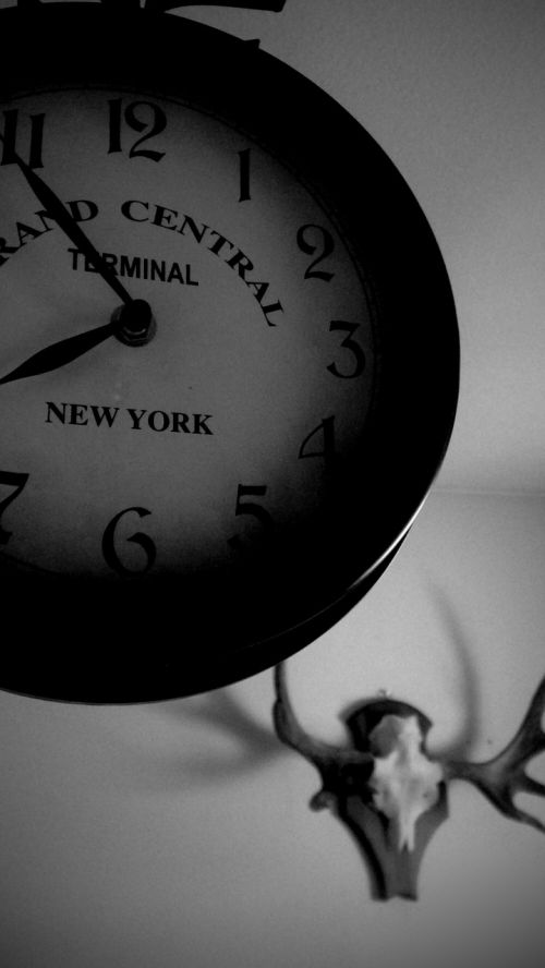 black and white clock skull