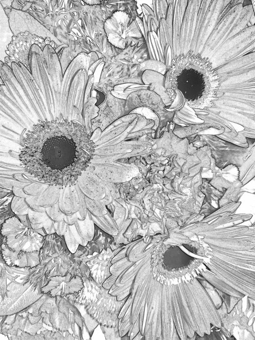 Black And White Floral Background