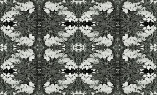 Black And White Pattern