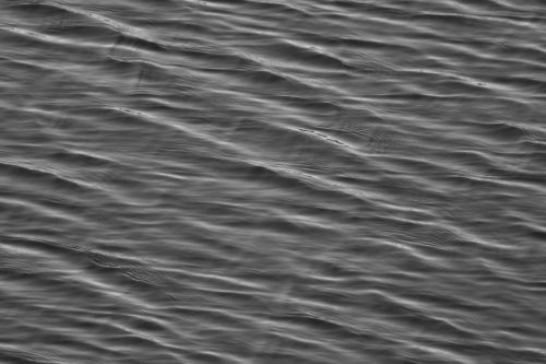 Black And White Water Surface