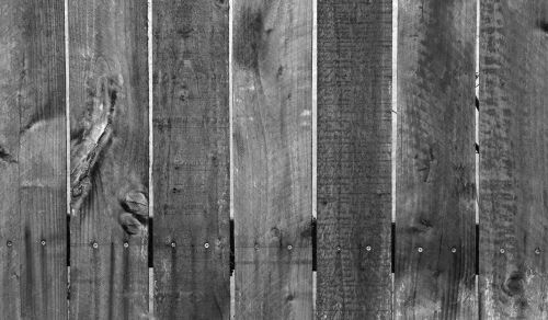 Black &amp; White Wooden Fence