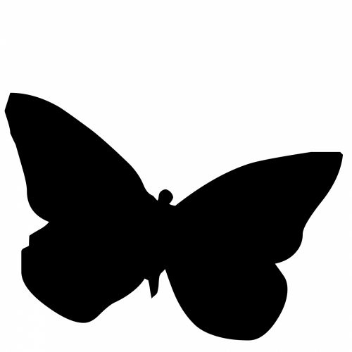 Black Butterfly