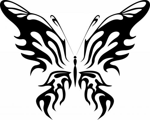 Black Butterfly 6