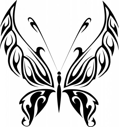 Black Butterfly 8