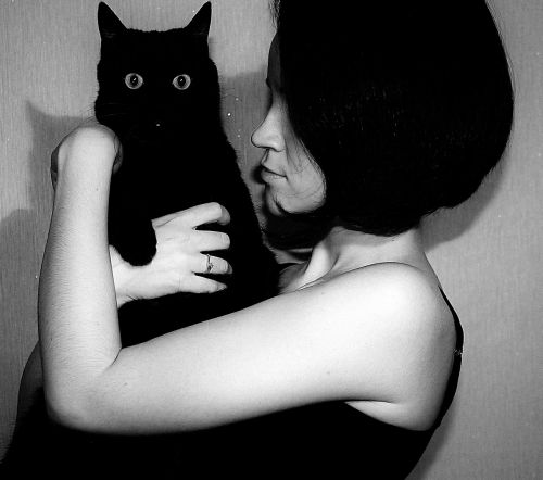 black cat cat man