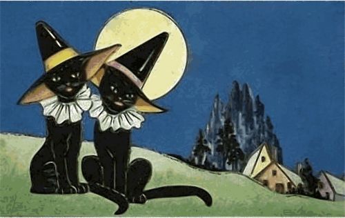 black cat witch halloween