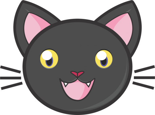 black cat cute kitty