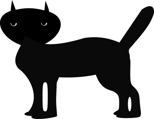 black cat animal feline