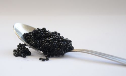 black caviar caviar cup