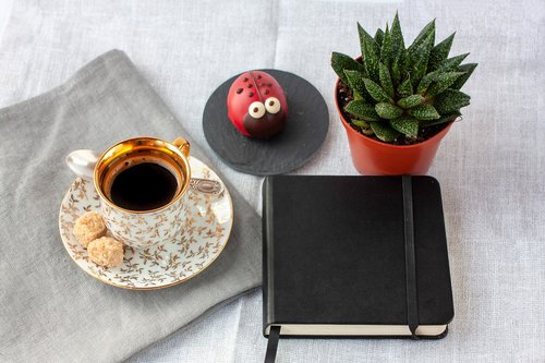 black coffee  succulent  notebook