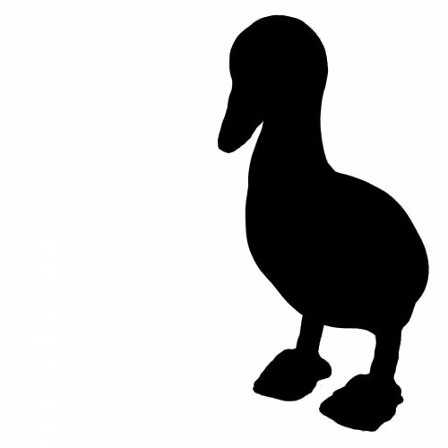 Black Duckling