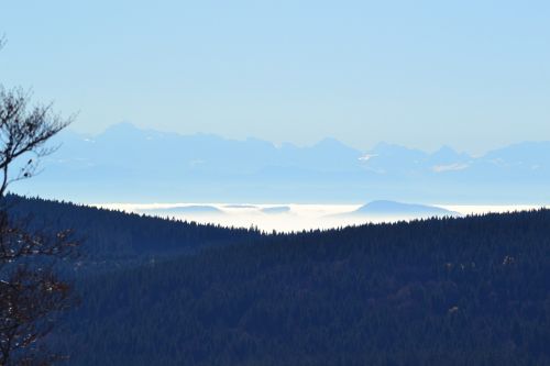 black forest freiburg schauinsland